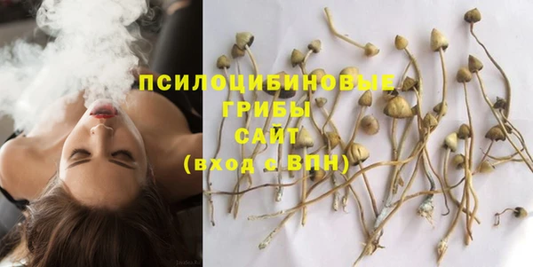 спиды Абинск